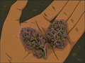 PURPLEMATIC