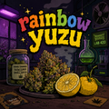 RAINBOW YUZU